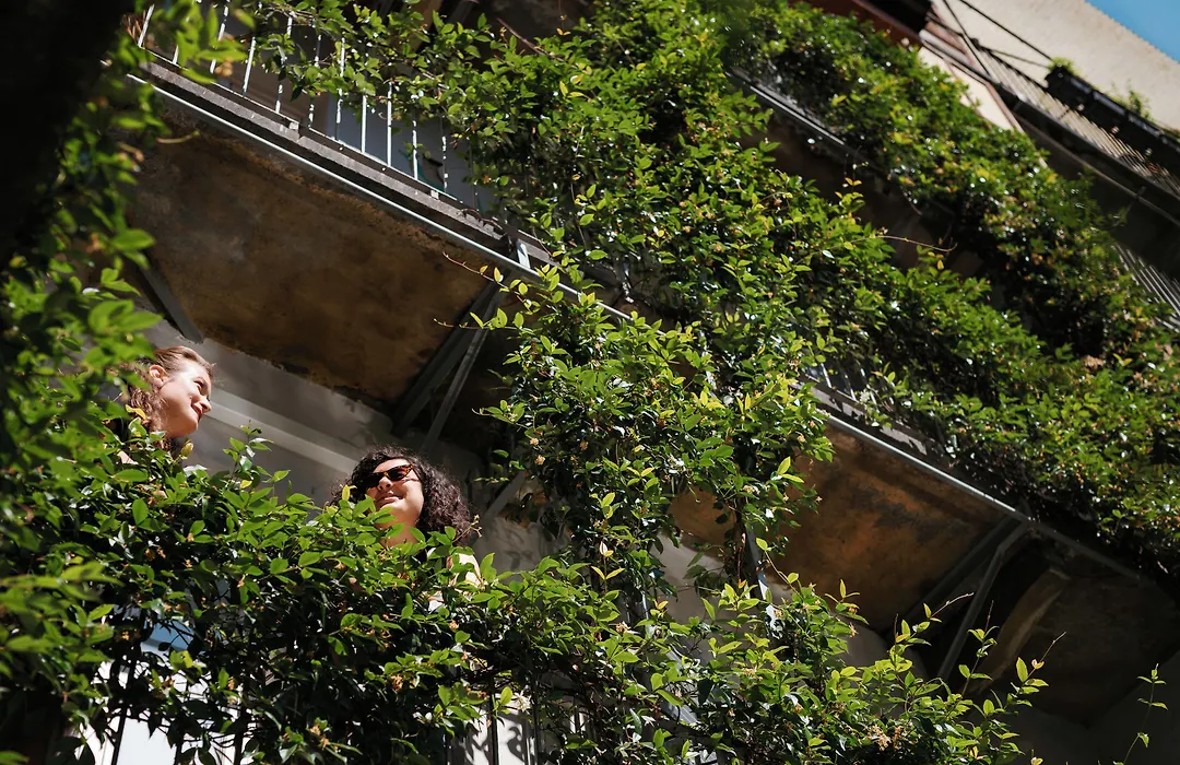 Tomato Backpackers-1